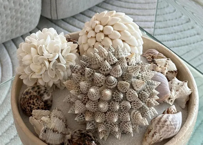 Vue 45m2 Avec Grande Terrasse 20m2 *